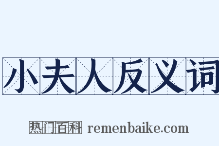 小夫人反义词是什么意思的图片